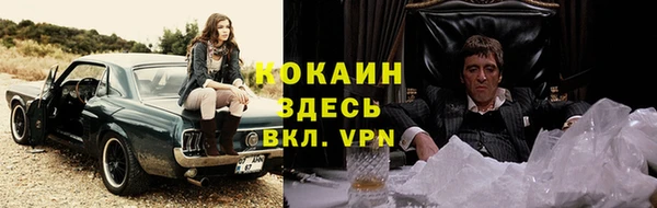 индика Алзамай