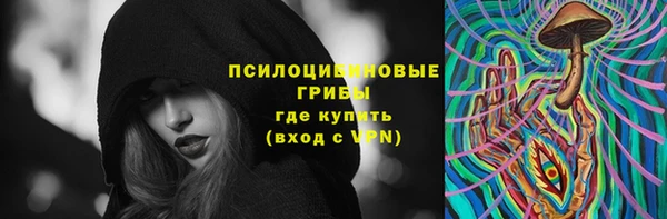apvp Алексин