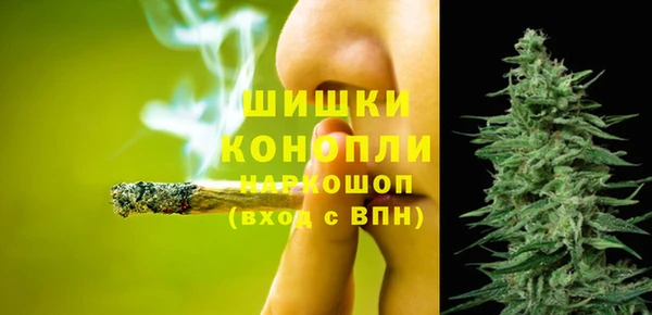 индика Алзамай
