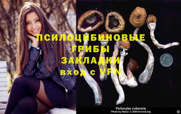 твердый Алексеевка