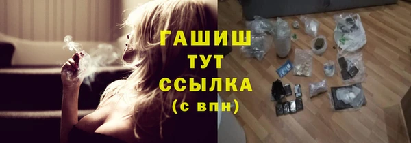 индика Алзамай
