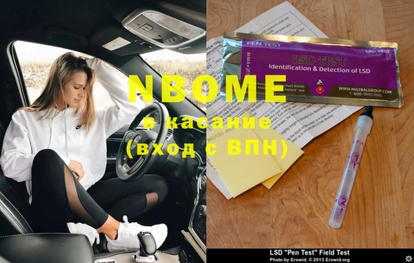 индика Алзамай