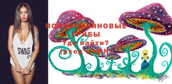 индика Алзамай