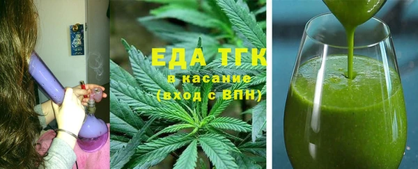 индика Алзамай