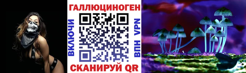 где можно купить Орехово-Зуево Галлюциногенные грибы мухоморы